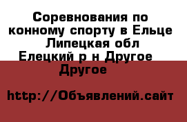 Соревнования по конному спорту в Ельце  - Липецкая обл., Елецкий р-н Другое » Другое   